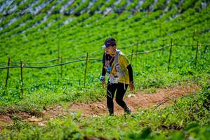 BIB: 
                            <button type="button" onclick="openModal(19164585)" class="btn btn-primary btn-sm float-right btn-popup" data-toggle="modal" data-target=".modal-high-quality">
                        <i class="fas fa-shopping-cart"></i> Add to Cart
                    </button>
                                            <button type="button" onclick="isThisMe(19164585, true)" class="btn btn-success btn-sm float-right btn-popup btn-isme hidden" data-toggle="tooltip" data-placement="bottom" title="นี่คือรูปของคุณใช่ไหม คลิกที่นี่เพื่อเอาเข้าอัลบั้ม">
                        <i class="fas fa-plus"></i> Add to album
                    </button>
                    <button type="button" onclick="isThisMe(19164585, false)" class="btn btn-warning btn-sm float-right btn-popup btn-isnotme hidden">
                        <i class="fas fa-ban"></i> Remove from album
                    </button>